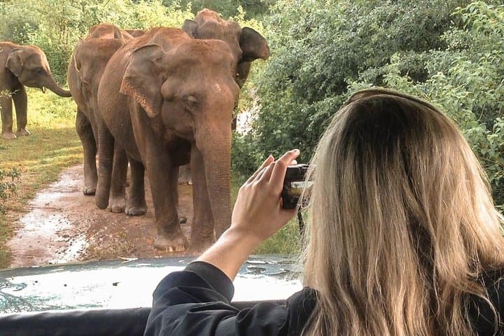 Cultural and Central Country Sri Lanka — 6-Day Sigiriya, Dambulla & Kandy Tour photo 6