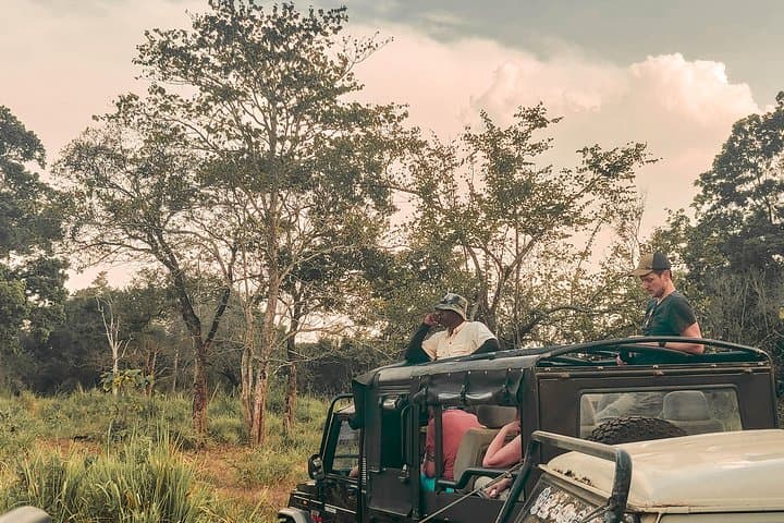 Big 5 Southern Coast: 7-Day Whale, Leopard & Elephant Safari in Sri Lanka photo 3