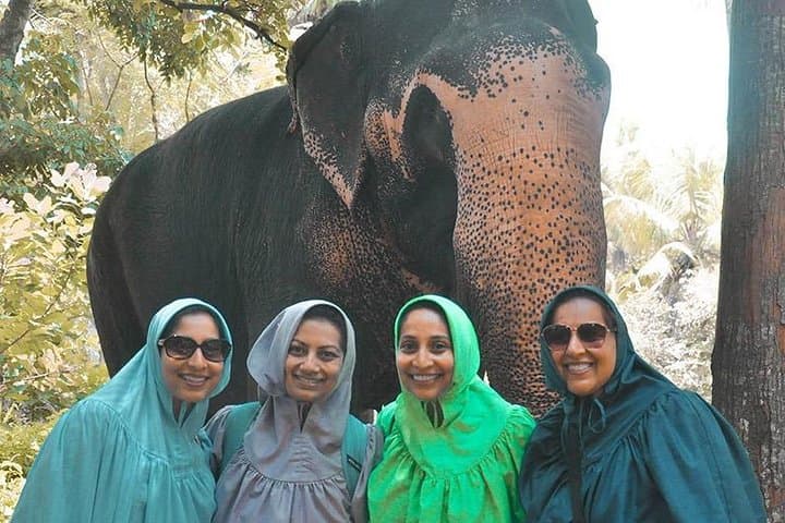 7-Day Sri Lanka Halal Tour: Sigiriya, Kandy & Minneriya Elephant Safari photo 3