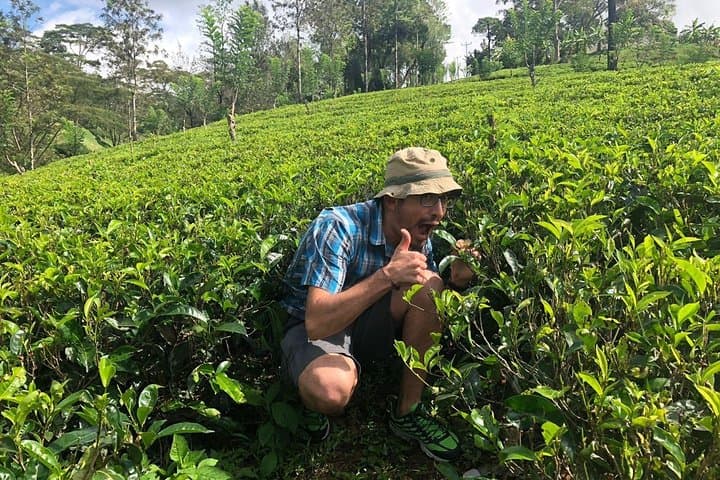 7-Day Sri Lanka Halal Tour: Sigiriya, Kandy & Minneriya Elephant Safari photo 6