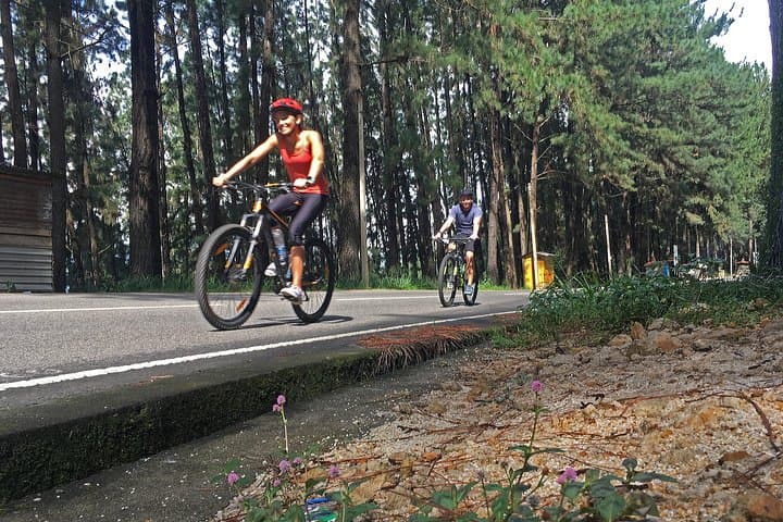 Kandy to Nuwara Eliya: Highlands Cycling Through Sri Lanka's Tea Country photo 2