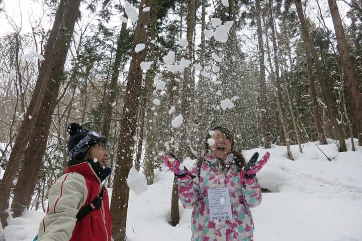 Half-Day Snow Trekking Near Minakami: 5-Minute Access from the IC