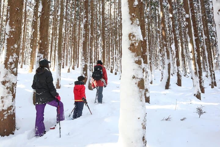 Half-Day Snow Trekking Near Minakami: 5-Minute Access from the IC photo 3