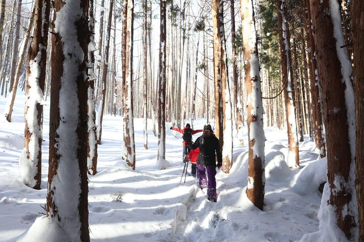 Half-Day Snow Trekking Near Minakami: 5-Minute Access from the IC photo 5