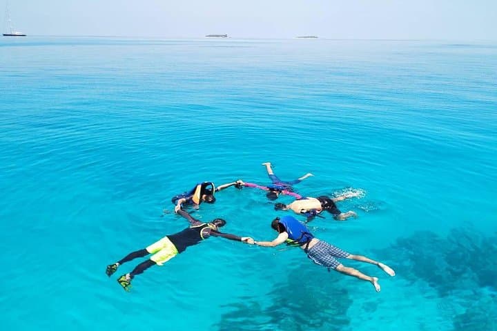Maldives Full Fun Adventure Trip: Sandbank Snorkeling, Dolphin Cruise & Local Island Visit photo 2