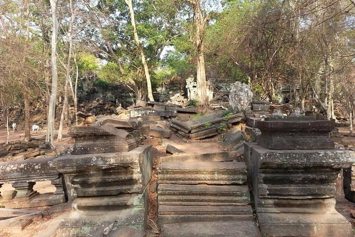 Beng Mealea & Kompong Phluk Wet-Season Day Trip from Siem Reap photo 2