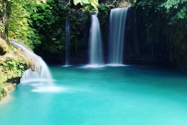 Cebu Whale Sharks, Sardine Run & Waterfalls — One Full-Day Adventure