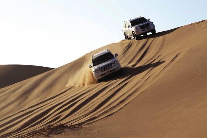 Premium Abu Dhabi Desert Safari: Dune Bashing & Lunch under the Ghaf Tree photo 5