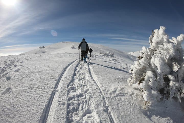 Full-Day Snowshoeing the Olympic Mountains from Sarajevo photo 4