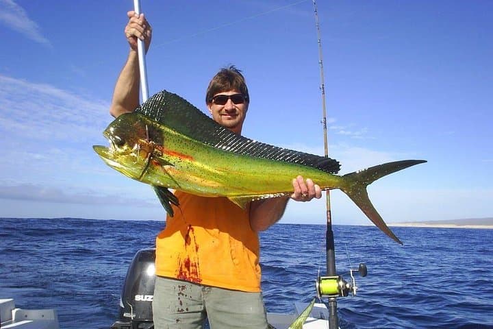 Cabo San Lucas Private Fishing Charter — All-Inclusive 5-Hour Angling Adventure photo 2