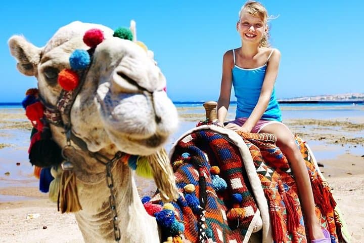 Cabo Camel Encounter: Beach Safari Ride with Lunch & Alcohol Tasting photo 5