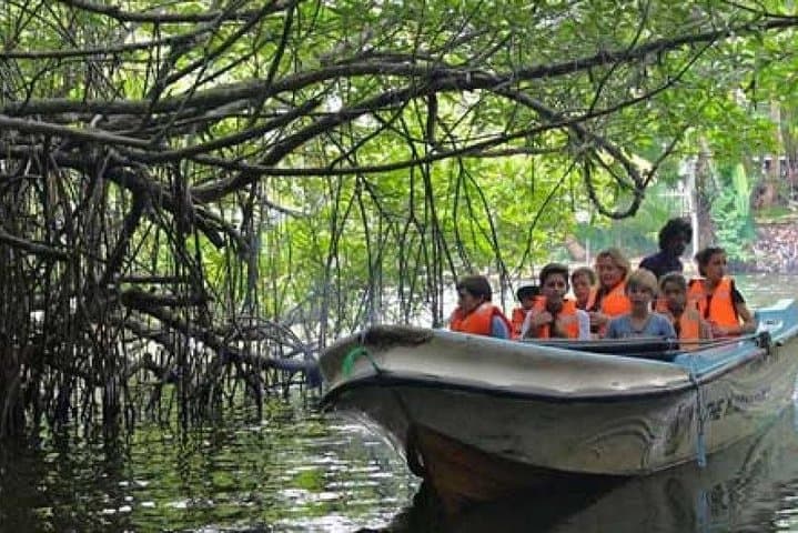 Galle Excursion: Madu River Mangroves, Turtle Hatchery & Galle Fort Day Trip