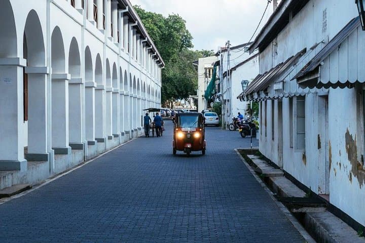 Galle Excursion: Madu River Mangroves, Turtle Hatchery & Galle Fort Day Trip photo 4