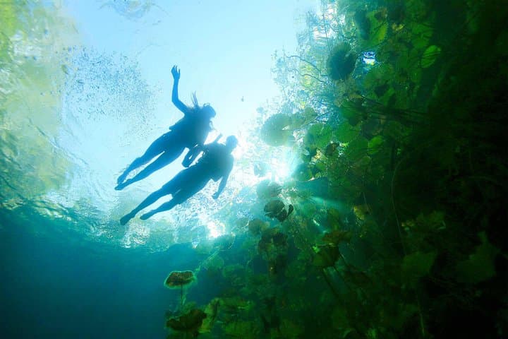 Xenotes Riviera Maya: Explore Four Cenotes by Zipline, Kayak & Rappel photo 3