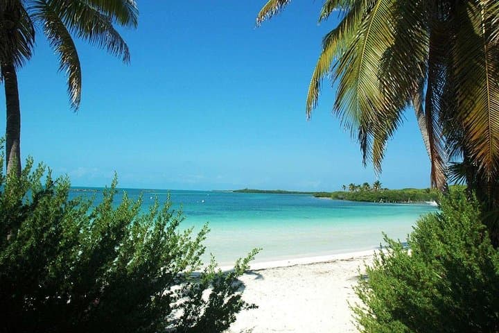 Isla Contoy & Isla Mujeres Day Trip from Playa del Carmen — Snorkel Ixlaché Reef and Eco-Reserve photo 6