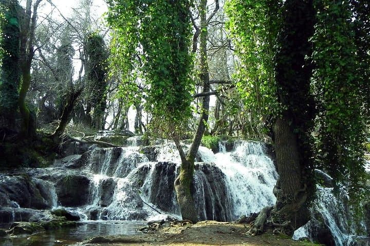 Middle Atlas Day Trip from Fez — Cedar Forests, Azrou & Ifrane in One Day photo 4