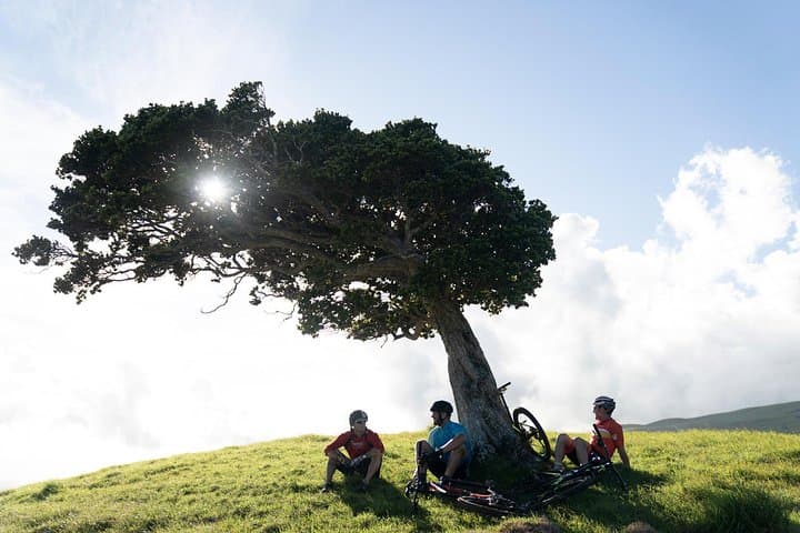 Big Island Mountain Biking on Anna Ranch: Volcanic Trails and Waterfall Views photo 6