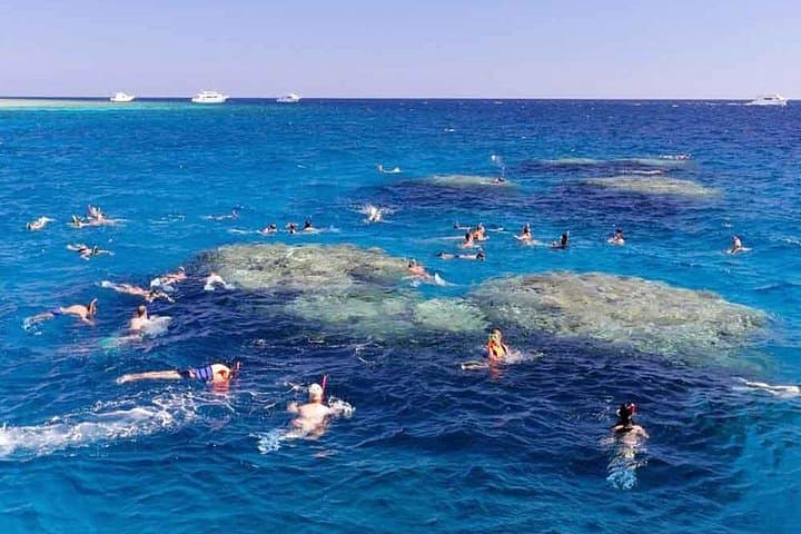 Full-Day Snorkeling to Tiran Island & Blue Lagoon from Sharm el-Sheikh photo 4