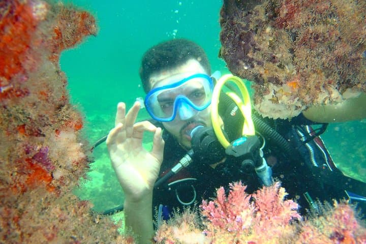 Shore Dive Initiation on Djerba: Beginner Scuba from the Beach photo 5