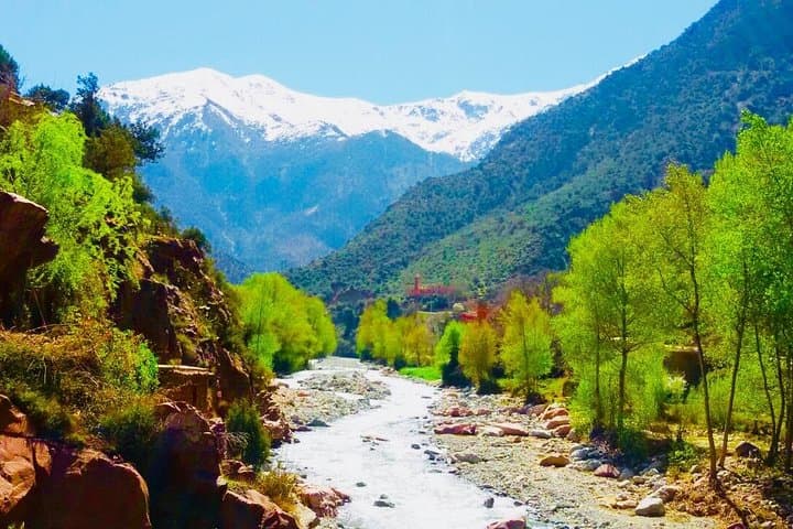 Day Trip to the Atlas Mountains: Three Valleys, Waterfalls & Berber Villages from Marrakech photo 4