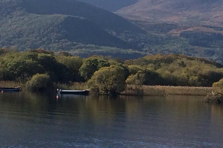 Private Killarney National Park Tour — Muckross, Torc Waterfall & Ladies View (3–4 hrs) photo 5