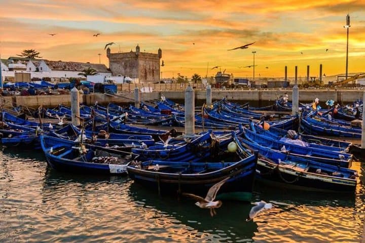 Essaouira Day Trip from Marrakech: Coastal Medina, Skala & Beach Excursion