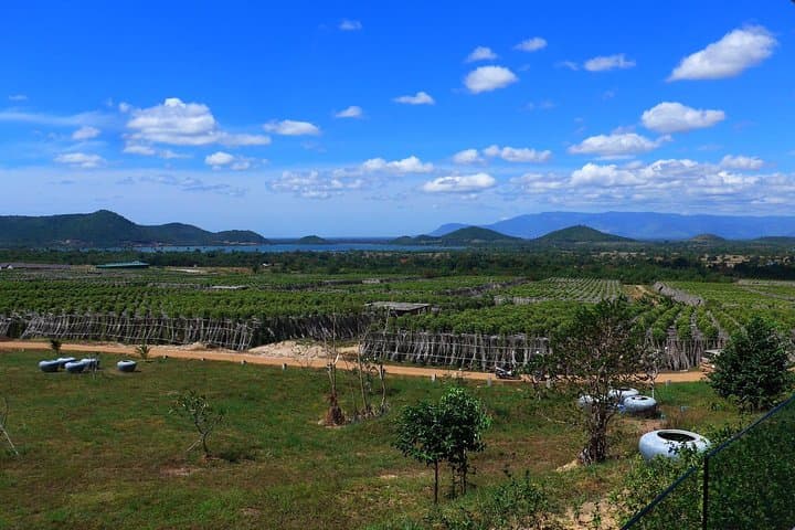 La Plantation Kampot Pepper Farm Tour and Classic Khmer Lunch