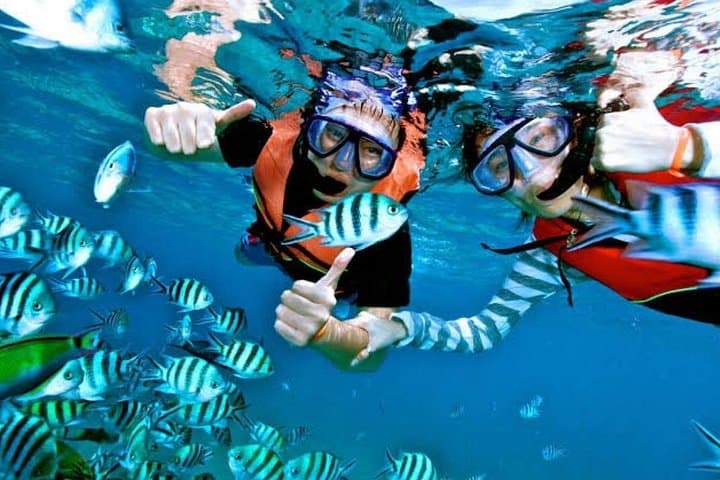 Blue Lagoon Snorkel from Padangbai: Coral Gardens, Lunch & Hotel Transfers photo 1