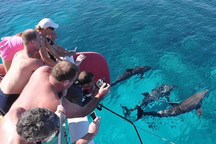 Red Sea Catamaran Sailing Tour from El Gouna – Snorkel Secret Reefs & Dolphin Watching photo 3