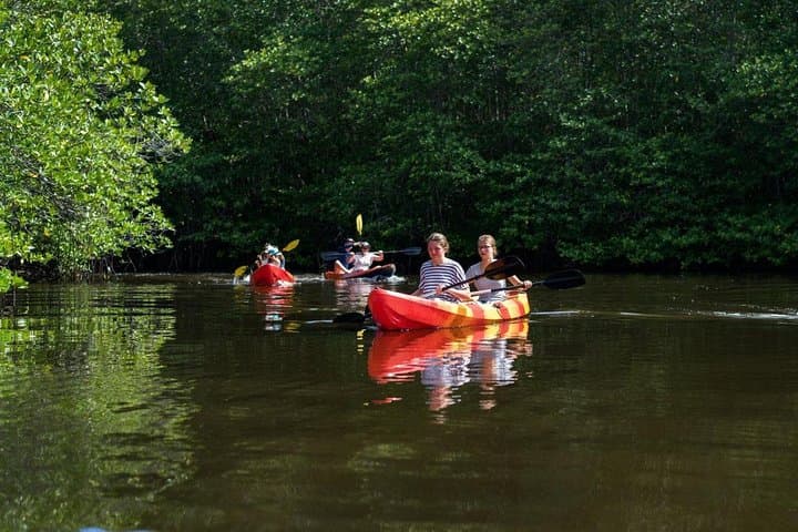 1-Hour Mangrove Kayak and Paddleboard Tour in Nusa Lembongan photo 2