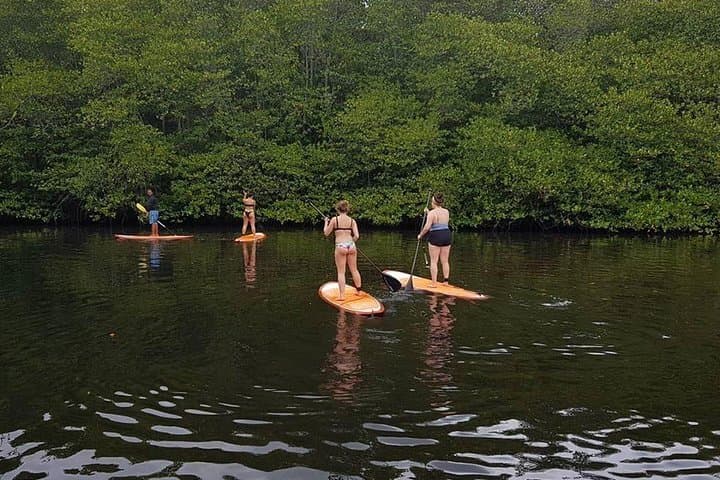 1-Hour Mangrove Kayak and Paddleboard Tour in Nusa Lembongan photo 4