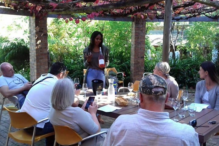 Cape Winelands Private Tour: Full-Day Wine Tasting in Stellenbosch, Paarl & Franschhoek photo 3