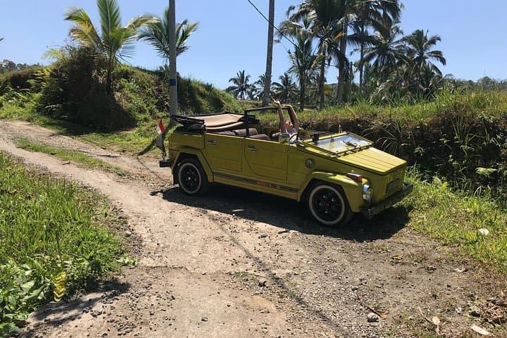 Vintage VW Safari: Handara Gate to Jatiluwih, Wanagiri & Banyumala Waterfalls photo 3