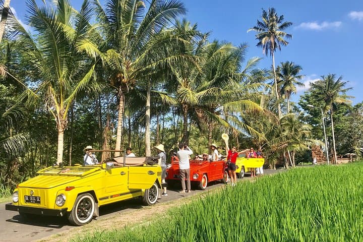 Vintage VW Safari: Handara Gate to Jatiluwih, Wanagiri & Banyumala Waterfalls photo 4