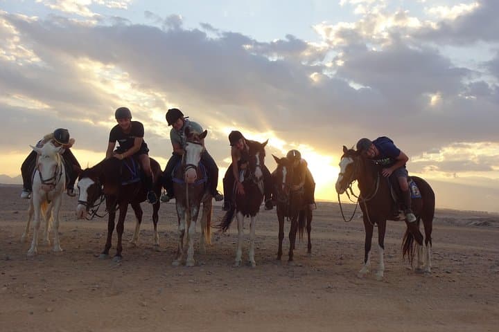 Hurghada Horseback Riding: Red Sea & Desert Tour (3 hour) photo 3