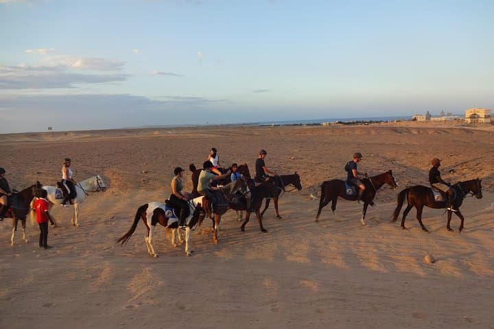 Hurghada Horseback Riding: Red Sea & Desert Tour (3 hour) photo 4
