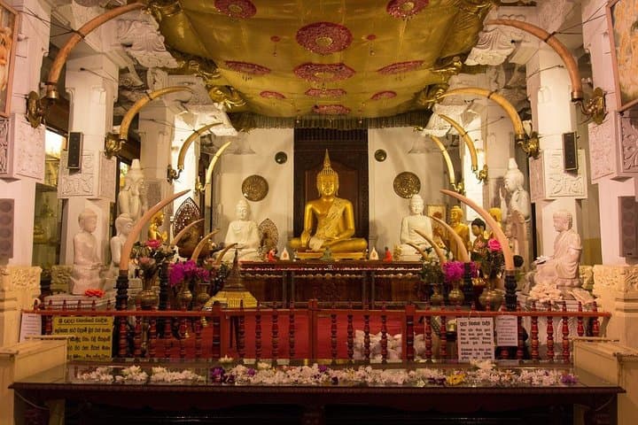 8-Day Private Sri Lanka Round Tour — Beaches, Hill Country, Safari & Cultural Triangle photo 4