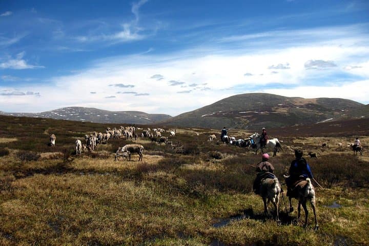 Multi-Day Reindeer Tribe Expedition: Mongolia Horse Trek & Lake Khovsgol photo 2