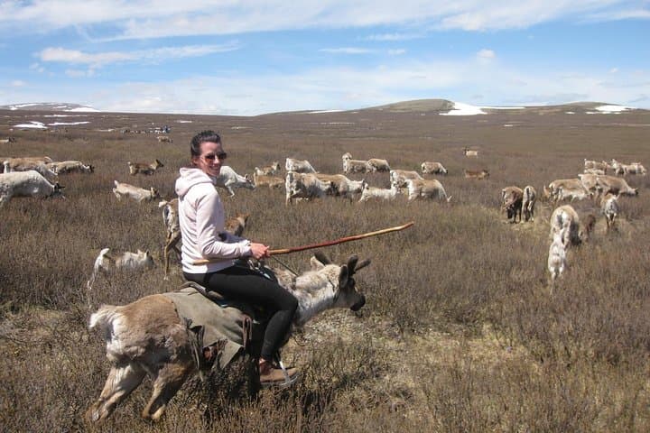 Multi-Day Reindeer Tribe Expedition: Mongolia Horse Trek & Lake Khovsgol photo 4