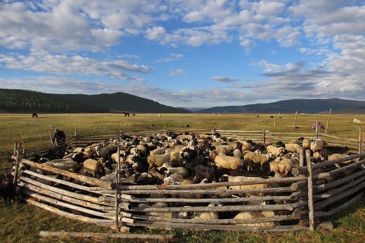 Multi-Day Reindeer Tribe Expedition: Mongolia Horse Trek & Lake Khovsgol photo 5
