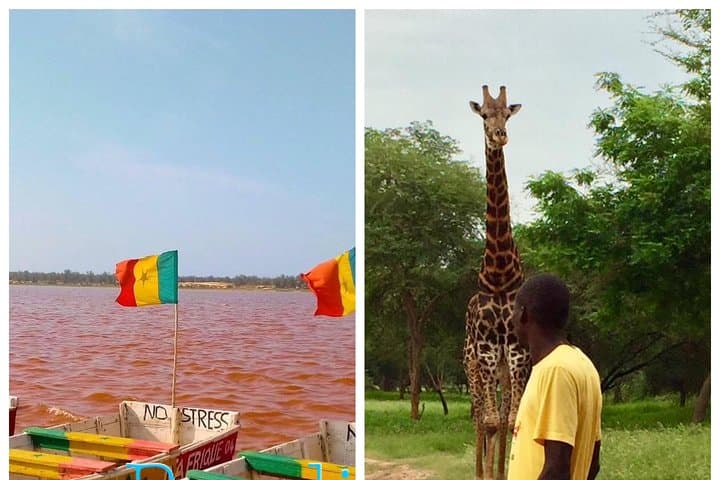 Two-Day Dakar Highlights: Gorée Island, Lac Rose & Bandia Wildlife Safari photo 3