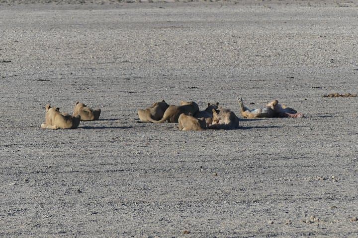 Coast to Coast Namibia: 9-Day Photography Tour from Windhoek to the Atlantic photo 3