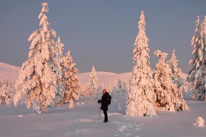 Levi Snowshoeing Adventure to Pallas‑Yllästunturi National Park photo 6