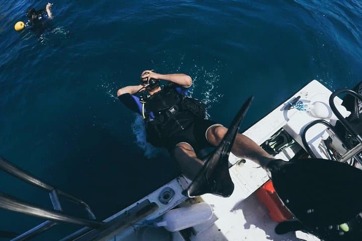 Catalinas Islands Scuba Refresher from Tamarindo — 2 Dives & Skills Review photo 2