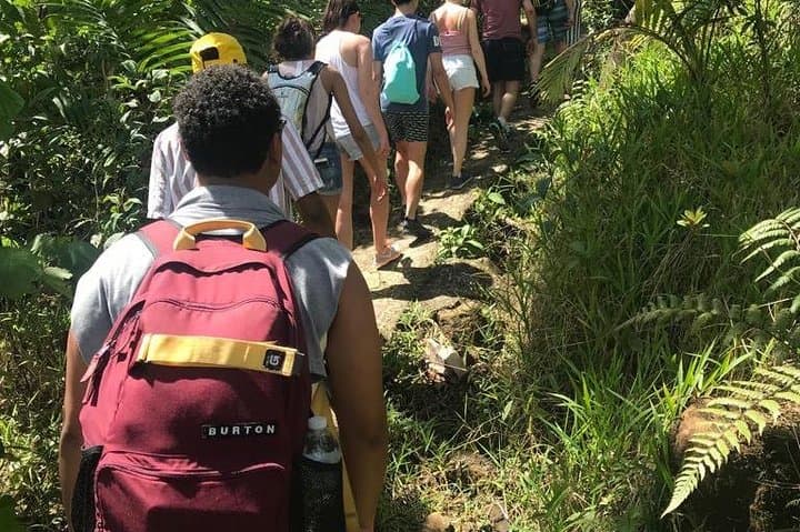 El Yunque Rainforest Day Tour from San Juan: Guided Hike, Waterfalls & Tower Views photo 4