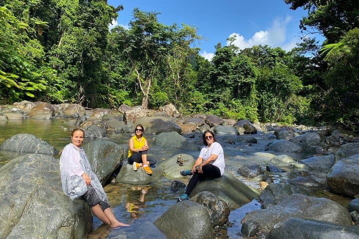El Yunque Rainforest Day Tour from San Juan: Guided Hike, Waterfalls & Tower Views