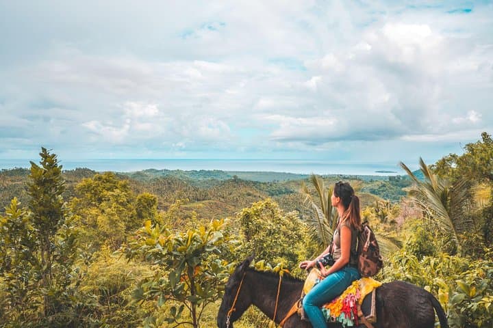 Samana Whale Watching, Cayo Levantado & El Limón Waterfalls — Day Trip from Punta Cana