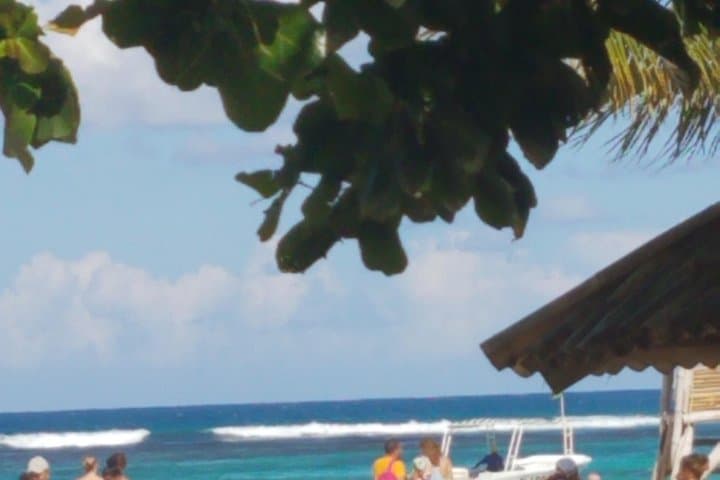 Puerto Seco Beach Private Tour from Ocho Rios — Family-Friendly Sand, Snorkel & Local Eats photo 4