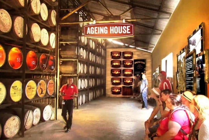 Private Appleton Estate Rum Tour & Tasting from Ocho Rios — Behind Jamaica's Legendary Rum photo 3