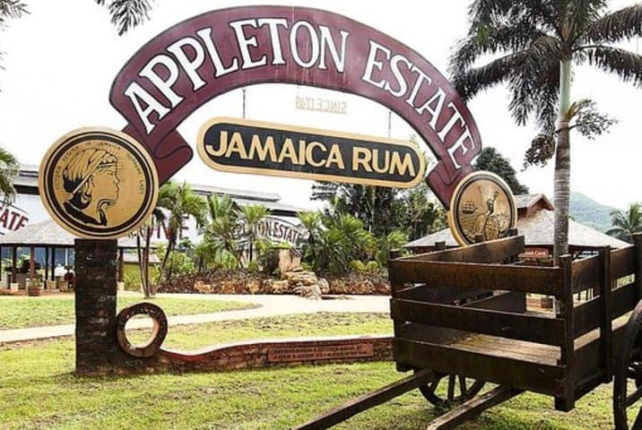 Private Appleton Estate Rum Tour & Tasting from Ocho Rios — Behind Jamaica's Legendary Rum photo 5